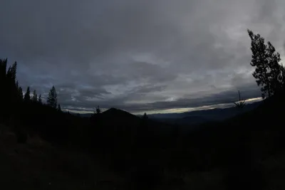 DSC_0079 (Large).JPG